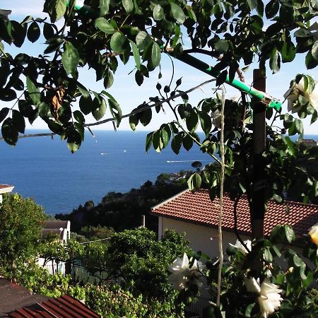 Le Mimose Villa Vietri Ngoại thất bức ảnh