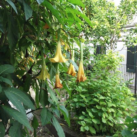 Le Mimose Villa Vietri Ngoại thất bức ảnh