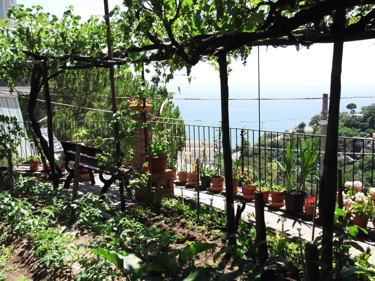 Le Mimose Villa Vietri Ngoại thất bức ảnh