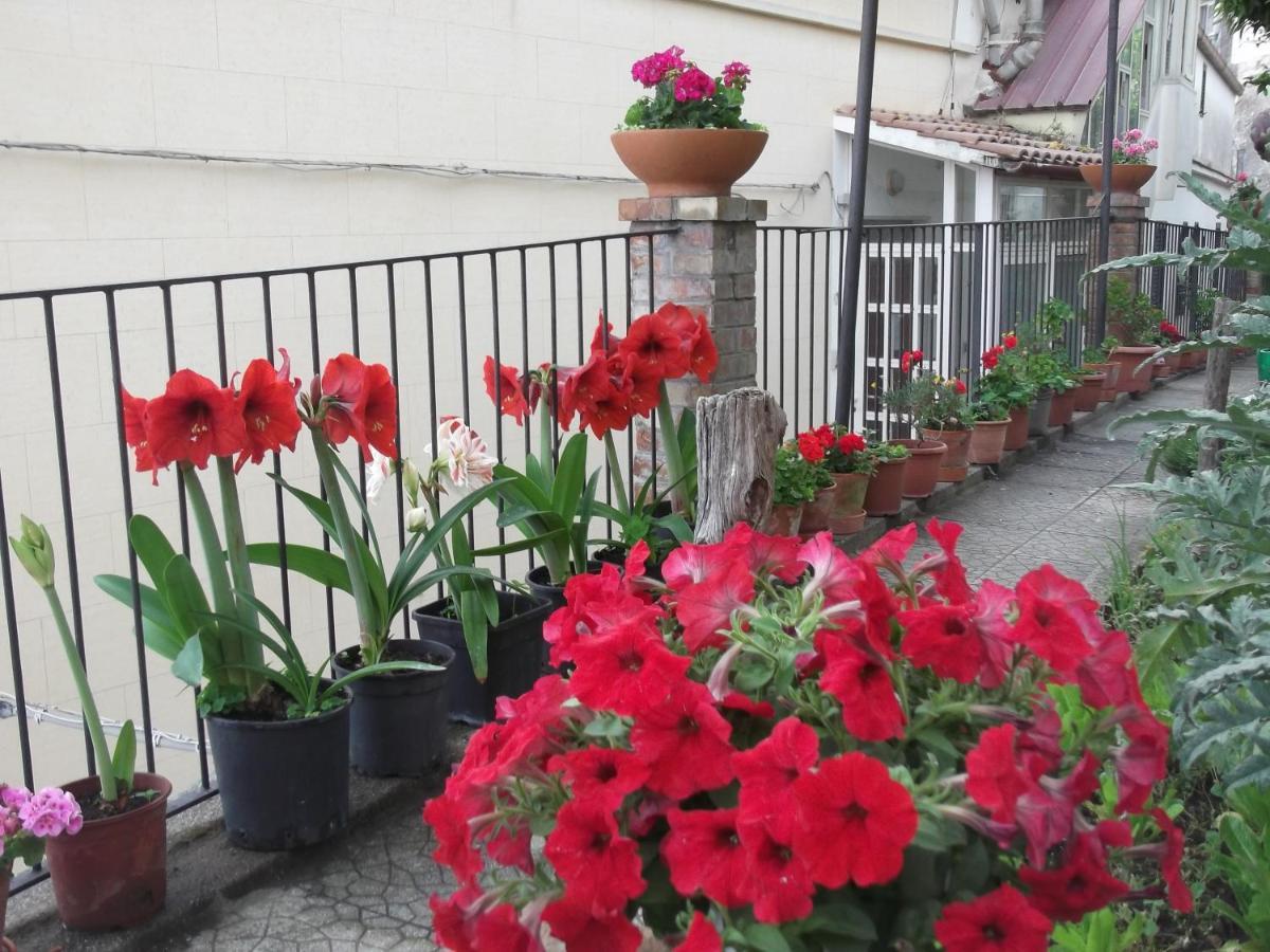 Le Mimose Villa Vietri Ngoại thất bức ảnh