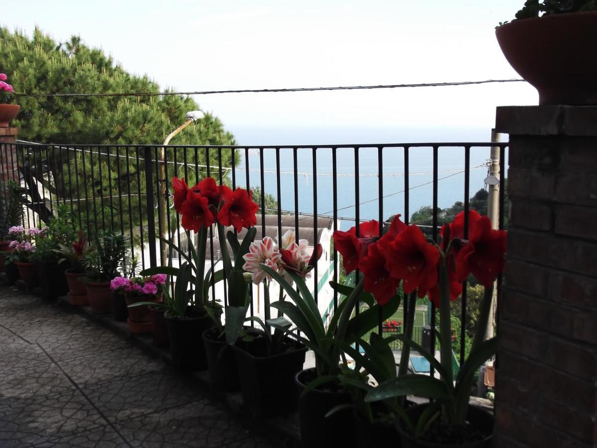 Le Mimose Villa Vietri Ngoại thất bức ảnh