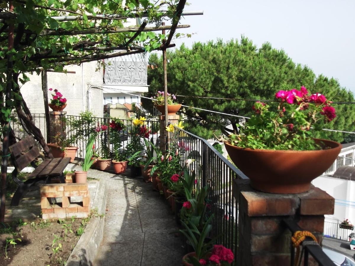 Le Mimose Villa Vietri Ngoại thất bức ảnh