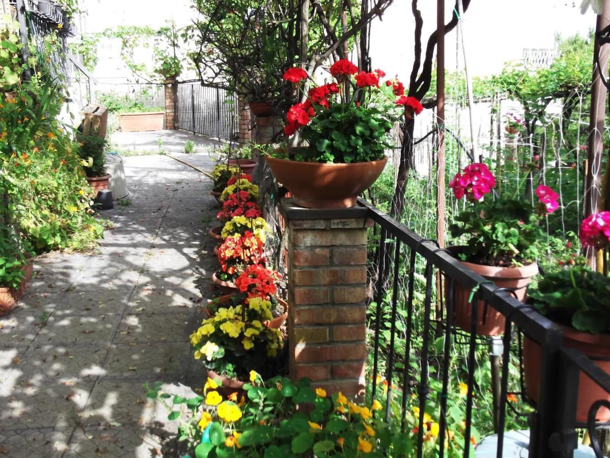 Le Mimose Villa Vietri Ngoại thất bức ảnh