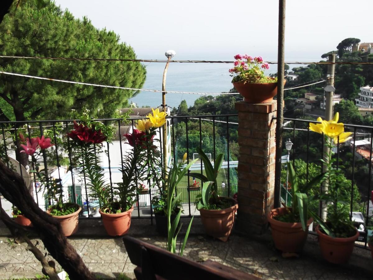 Le Mimose Villa Vietri Ngoại thất bức ảnh