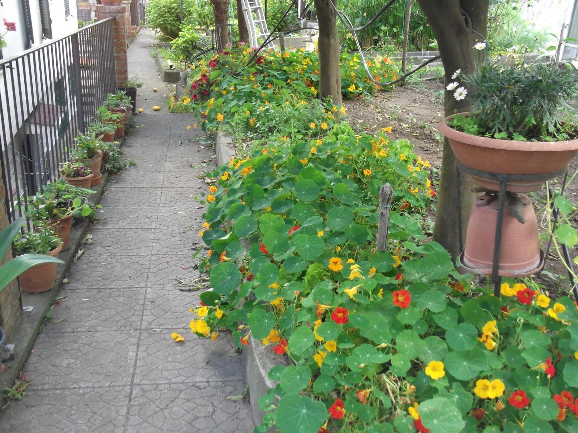 Le Mimose Villa Vietri Ngoại thất bức ảnh