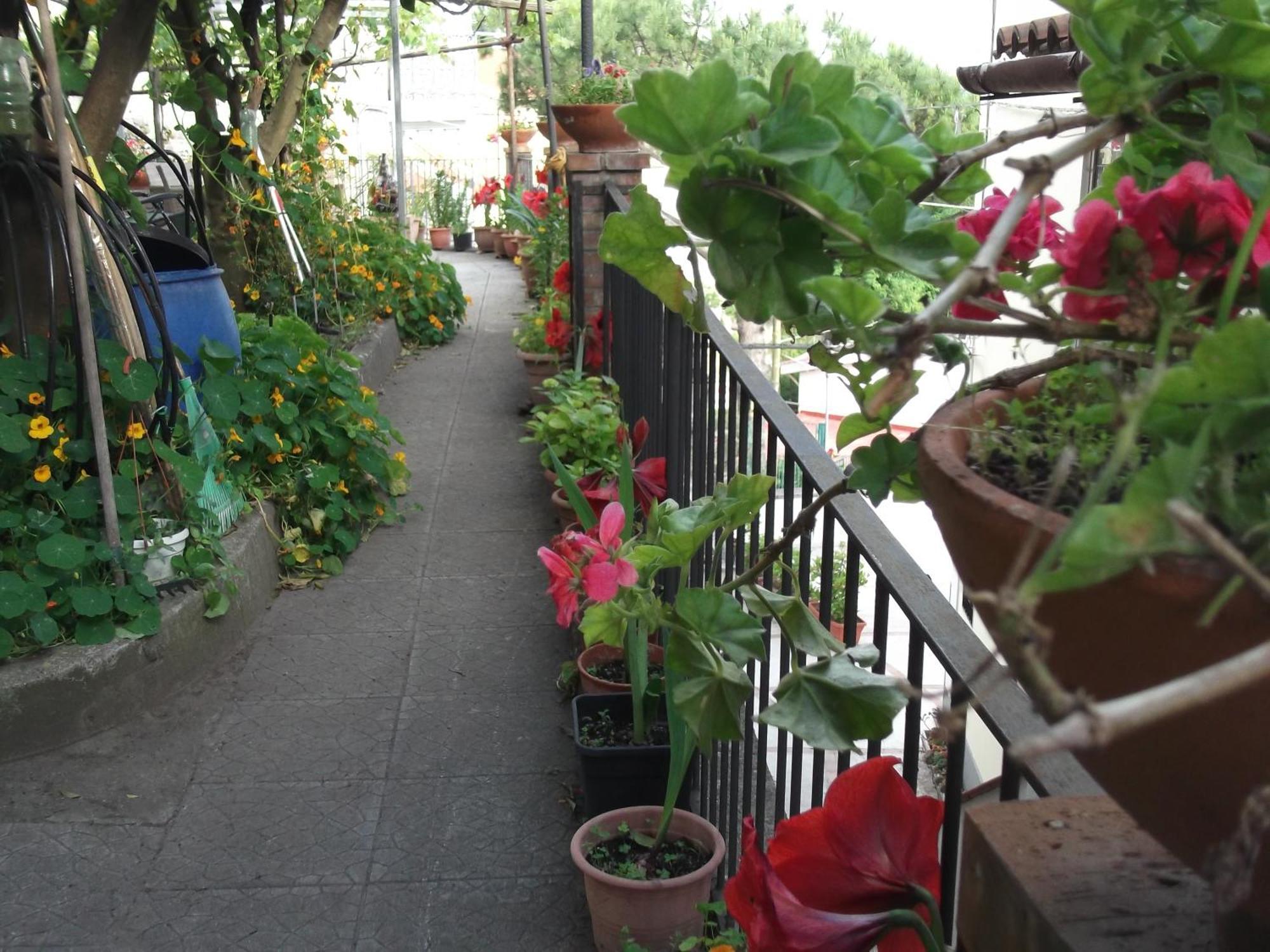 Le Mimose Villa Vietri Ngoại thất bức ảnh